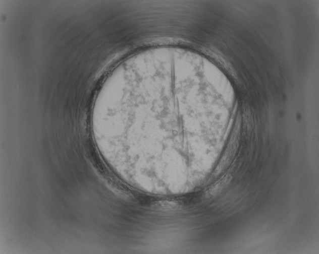 X0000078230159200612011548