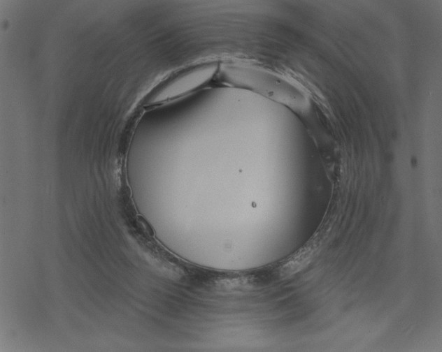 X0000078230160200612011548