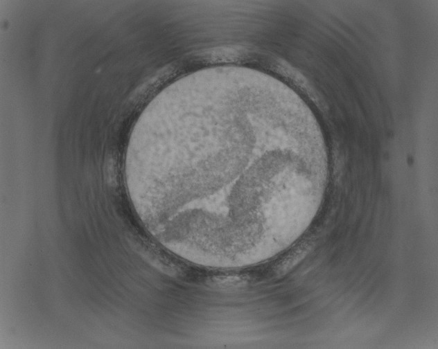 X0000078230161200612011548