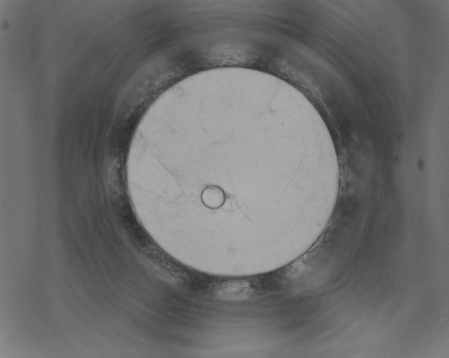 X0000078230162200612011548