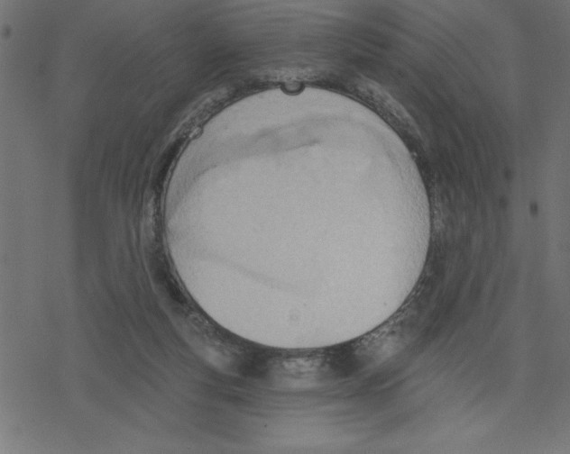 X0000078230163200612011548