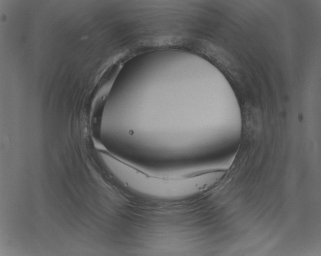 X0000078230164200612011548