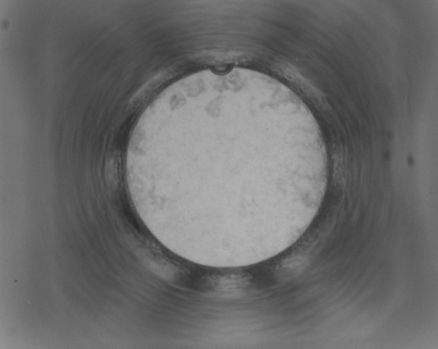 X0000078230165200612011548