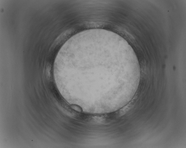 X0000078230166200612011548