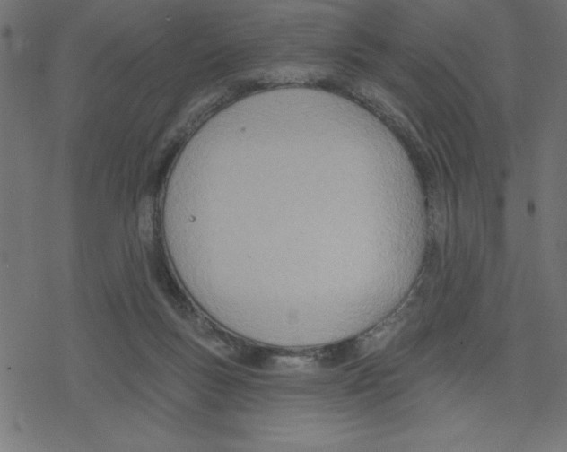 X0000078230167200612011548