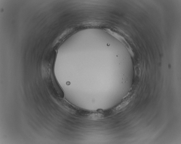 X0000078230168200612011548