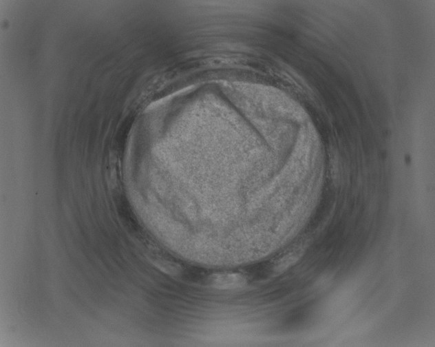 X0000078230169200612011548