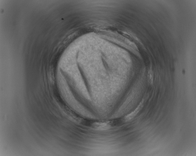 X0000078230170200612011548