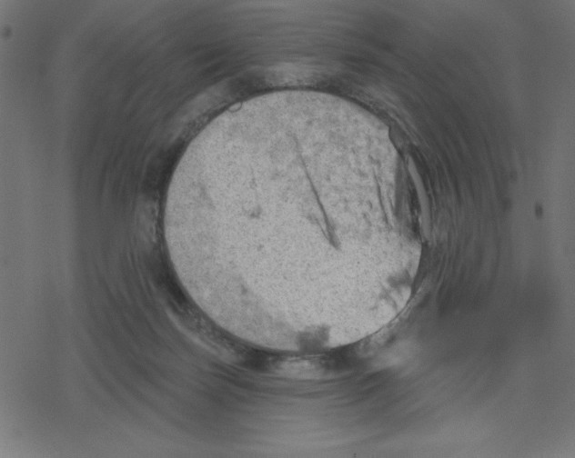 X0000078230171200612011548