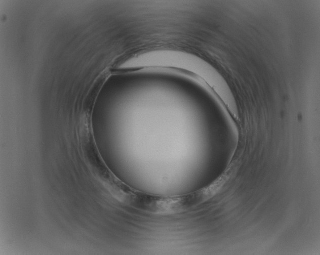 X0000078230172200612011549