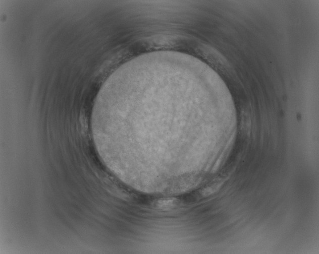 X0000078230173200612011549