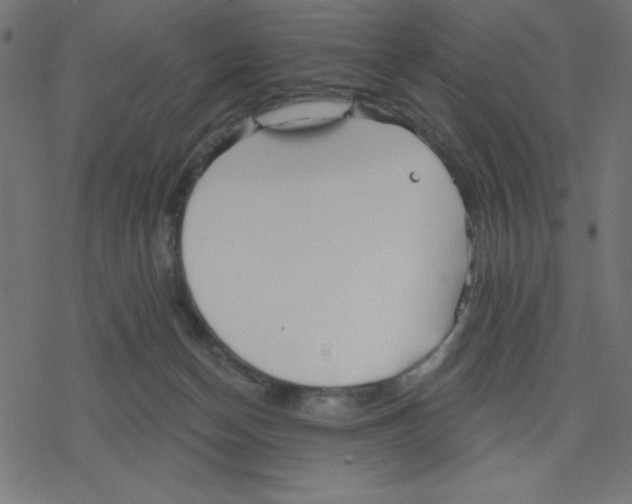 X0000078230174200612011549