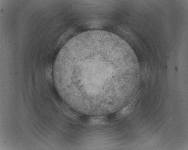 X0000078230175200612011549