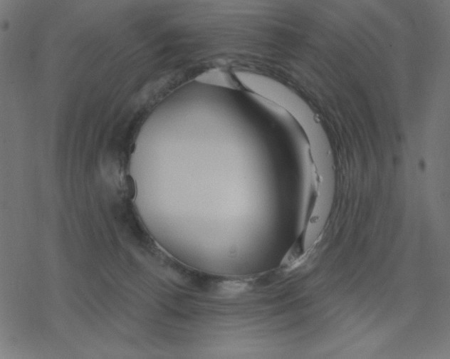 X0000078230176200612011549