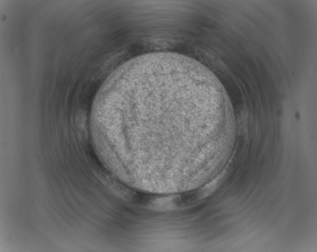 X0000078230178200612011549