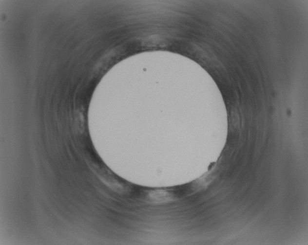 X0000078230183200612011549