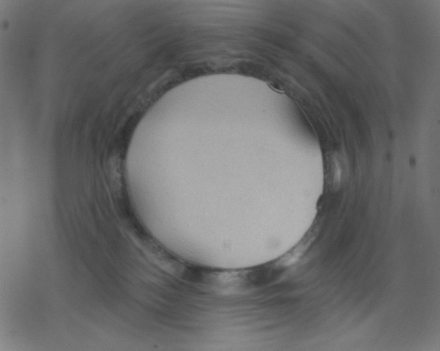 X0000078230184200612011549