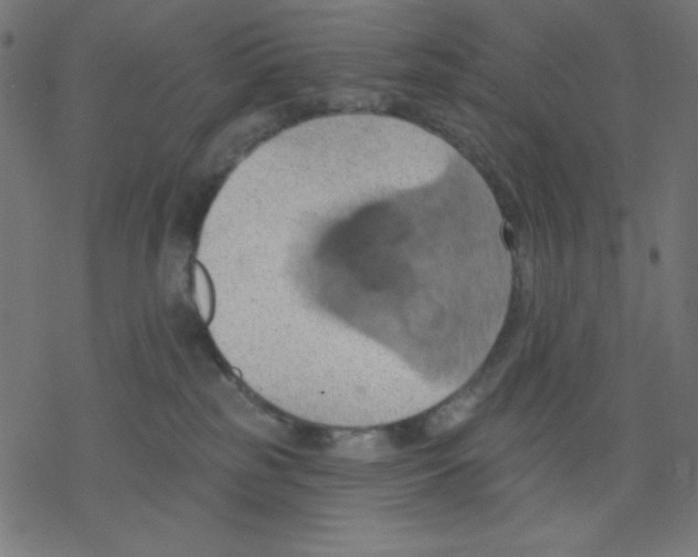 X0000078230185200612011549