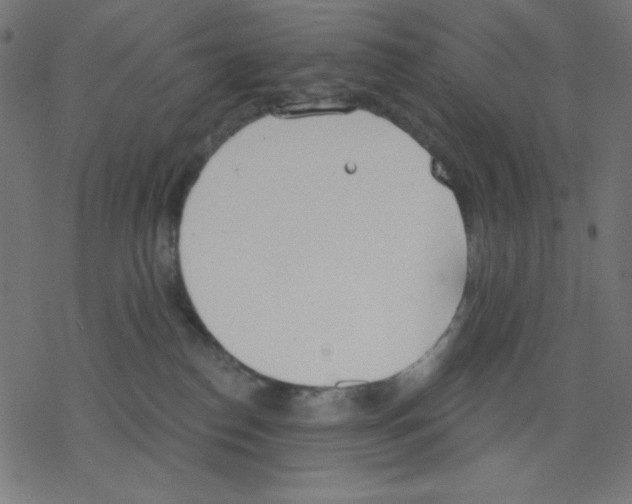 X0000078230186200612011549