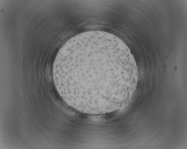 X0000078230187200612011549