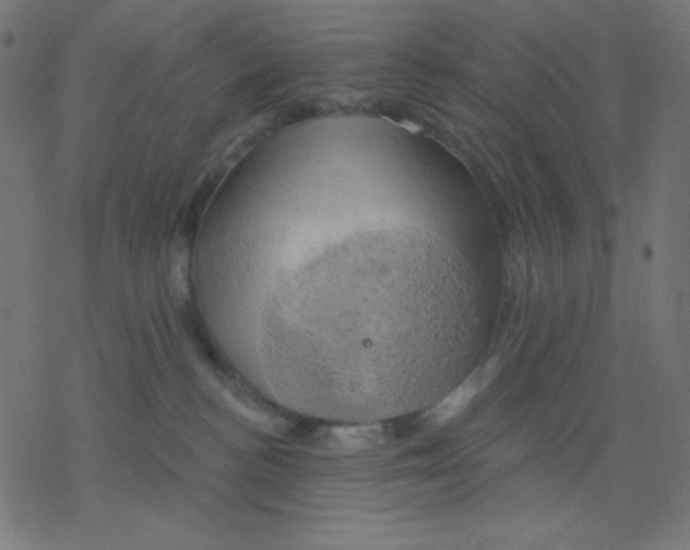 X0000078230188200612011549