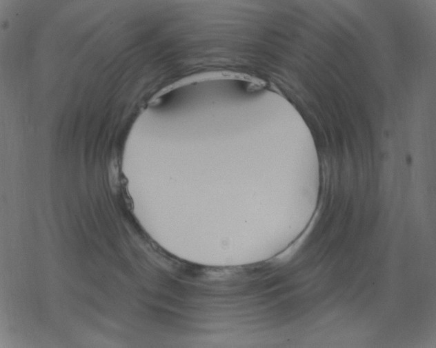 X0000078230190200612011549