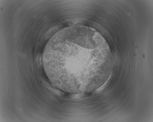 X0000078230191200612011549