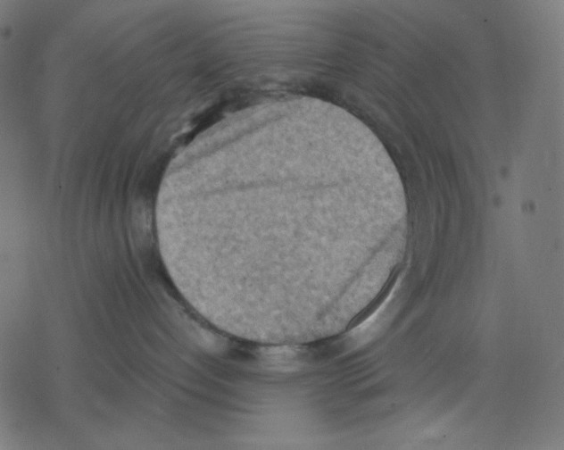 X0000078230192200612011549