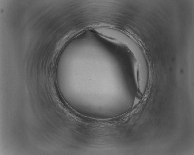 X0000078230193200612011548