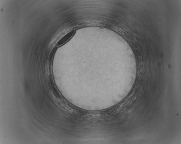 X0000078230194200612011548