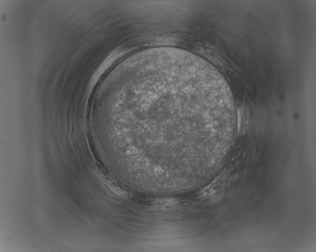 X0000078230195200612011548