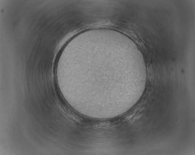 X0000078230196200612011548