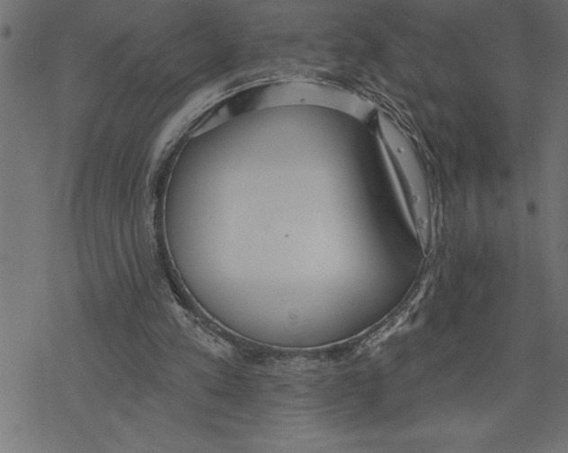 X0000078230197200612011548