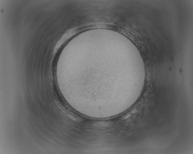 X0000078230198200612011548