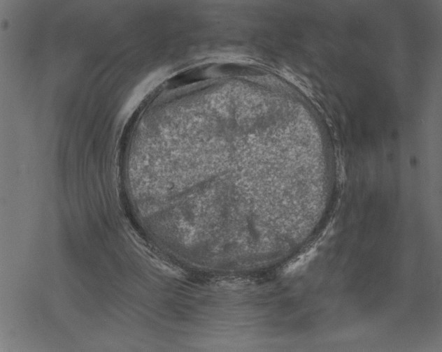 X0000078230199200612011548