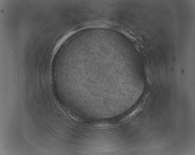 X0000078230200200612011548