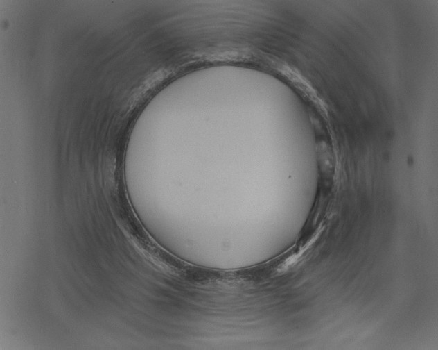 X0000078230201200612011548