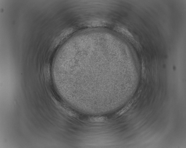 X0000078230202200612011548