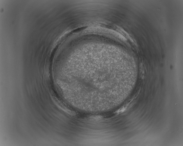 X0000078230203200612011548