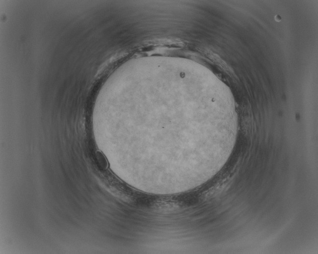 X0000078230207200612011548