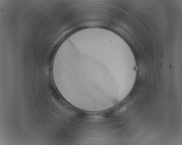 X0000078230208200612011548