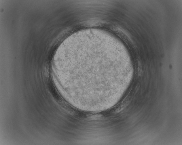 X0000078230210200612011548