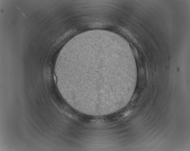 X0000078230211200612011548