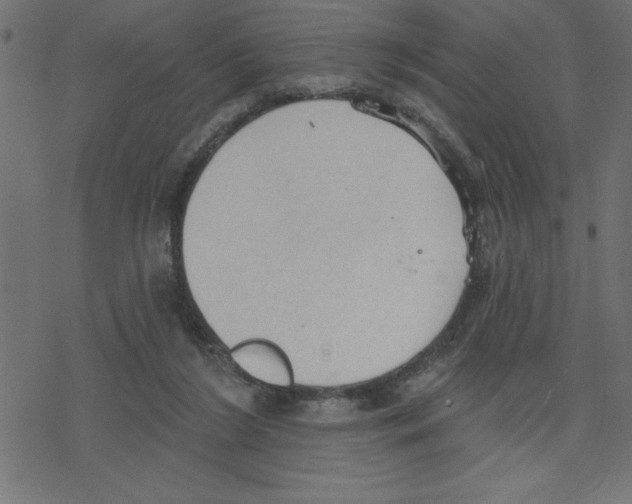 X0000078230212200612011548