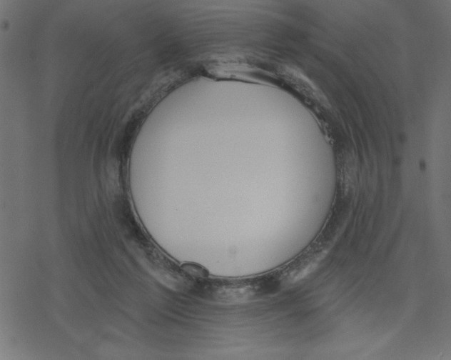 X0000078230213200612011548