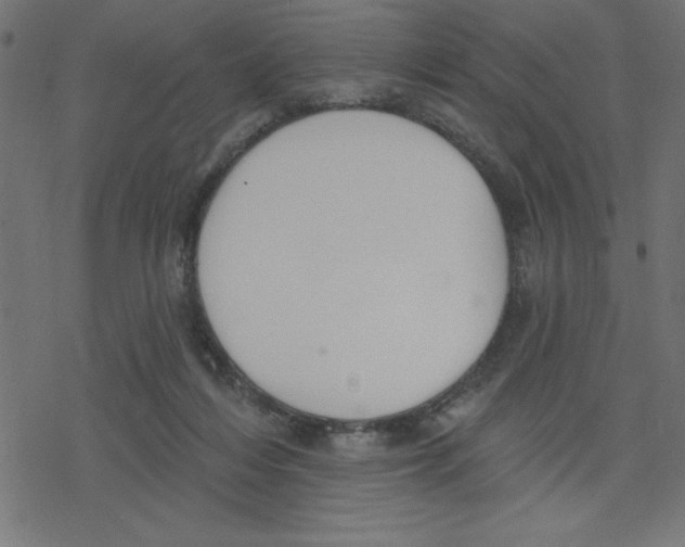 X0000078230216200612011548