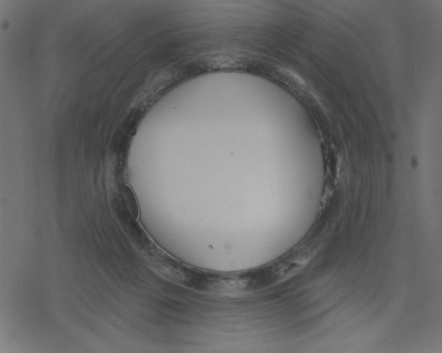 X0000078230217200612011548