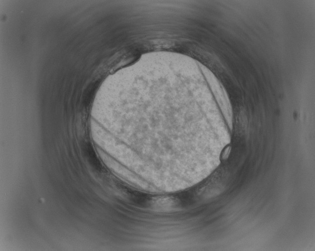 X0000078230218200612011548