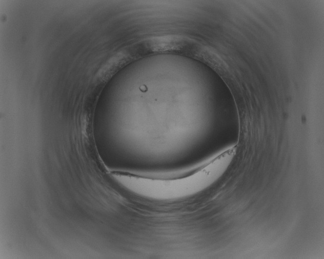 X0000078230219200612011548