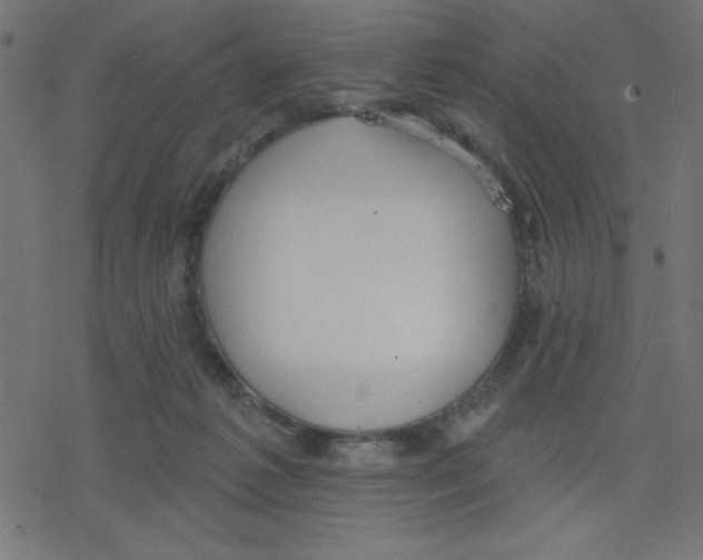 X0000078230221200612011548